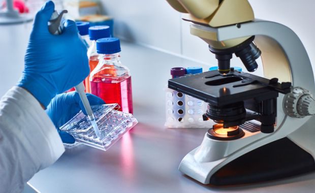 cancer research image