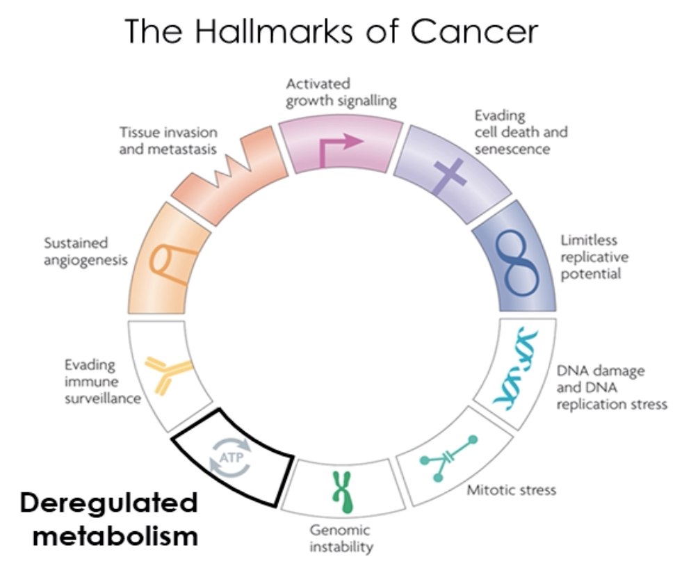 Cellular Hallmarks