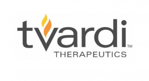 tvardi-web